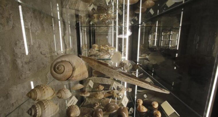 Malakološki muzej, Makarska