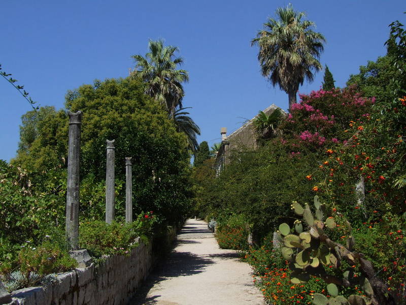 Arboretum Trsteno, Dubrovnik