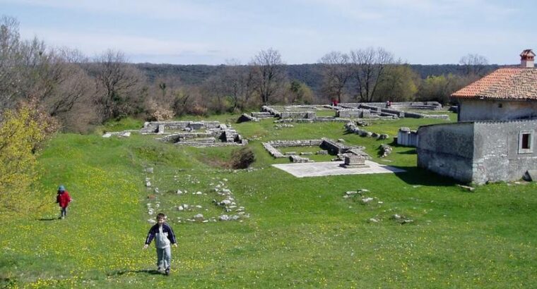Valtura, Ližnjan