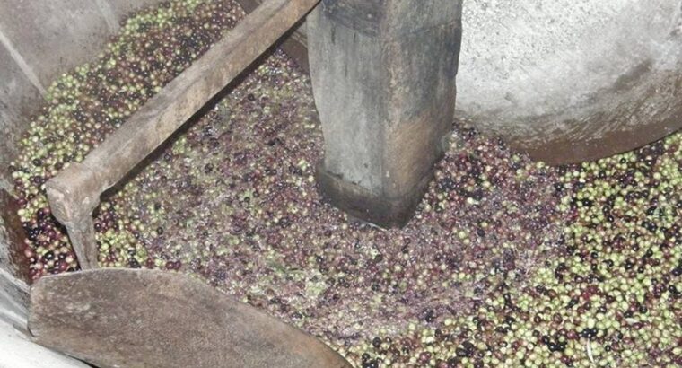 Stari mlin za masline – Torać