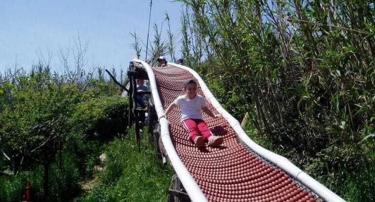 Safari bar, Rt Kamenjak