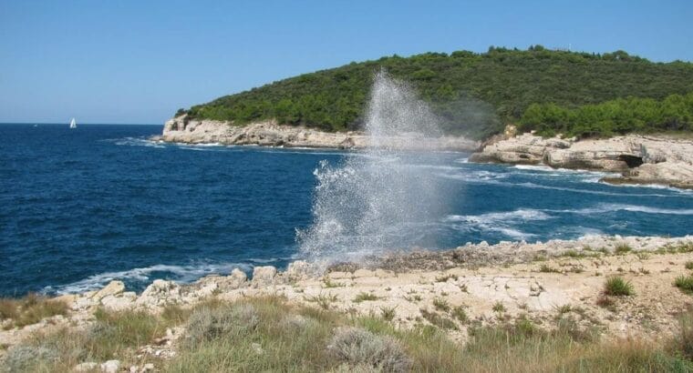 Galebove stijene, Pula