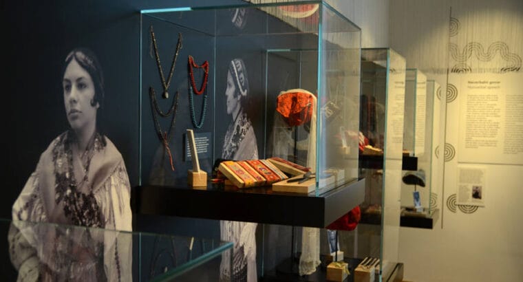 Dvorac Pejačević, Virovitica