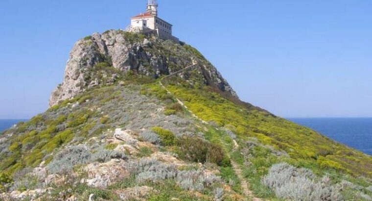 Svjetionik Palagruža