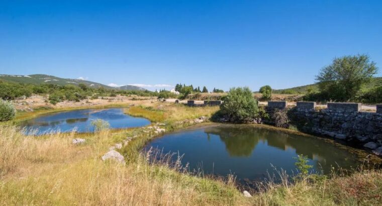 Crkva sv. Marije, Blizna Gornja