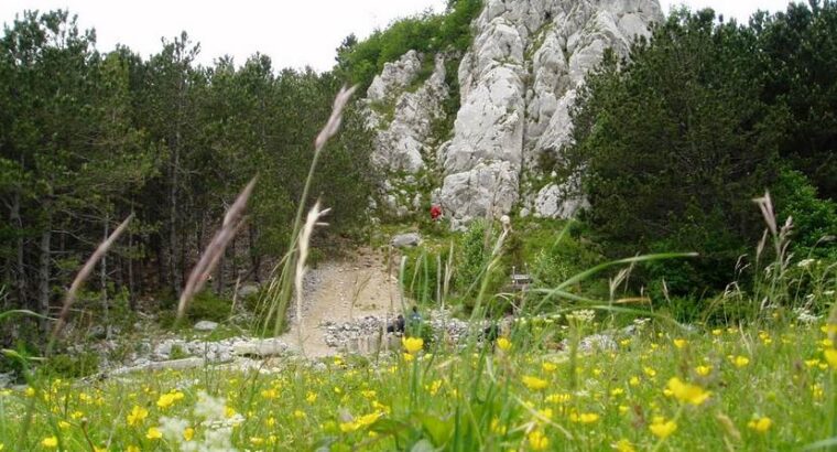 Park prirode Učka