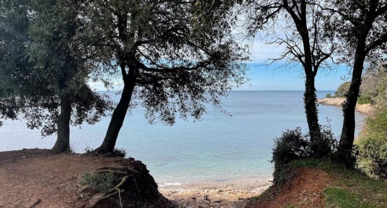 Plaža Saccorgiana, Pula