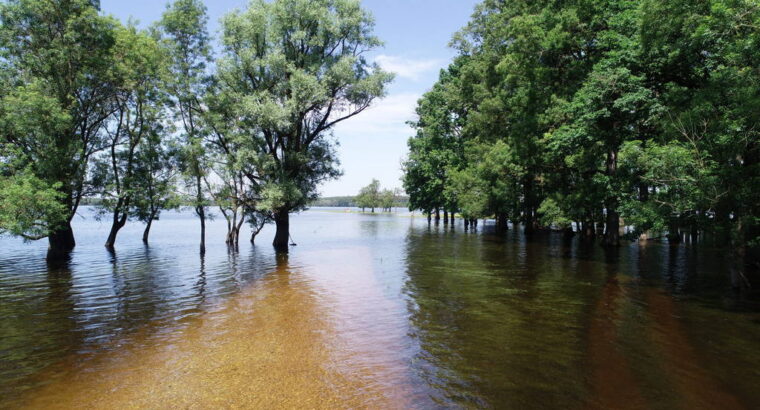 Lonjsko polje, park prirode