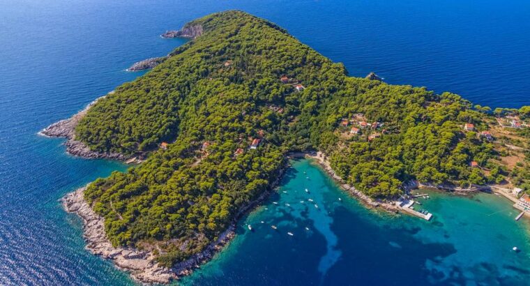 Otok Koločep