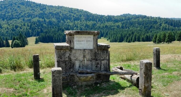 Prašuma Čorkova uvala