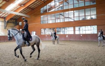 Državna ergela lipicanaca, Đakovo