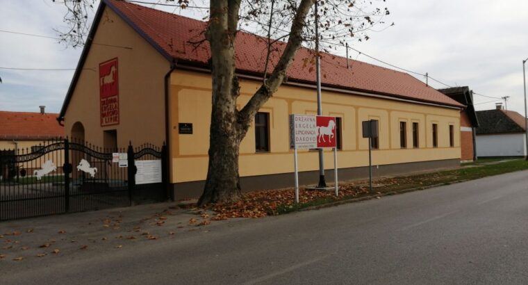 Državna ergela lipicanaca, Đakovo