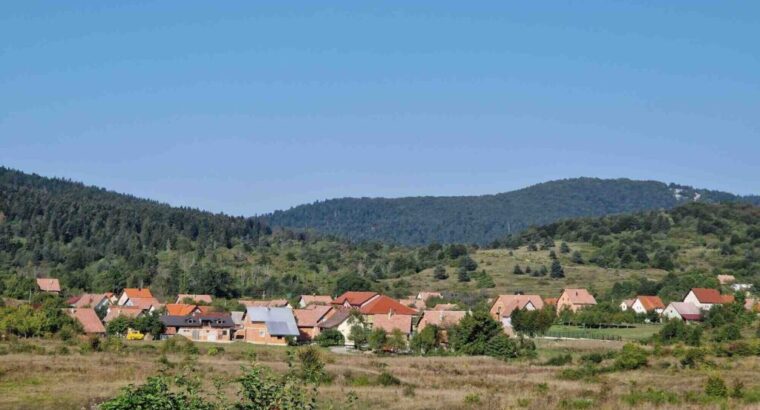 Saborsko