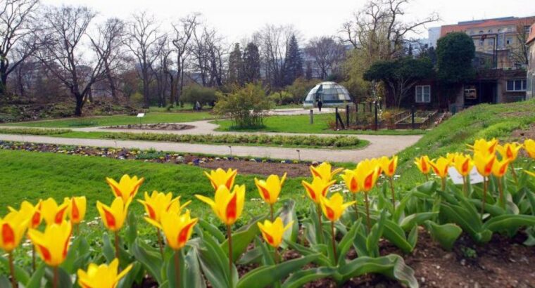 Botanički vrt, Zagreb