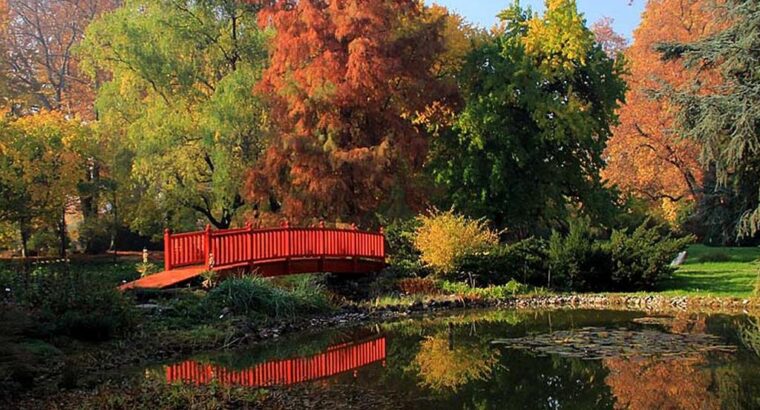 Botanički vrt, Zagreb