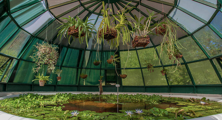 Botanički vrt, Zagreb