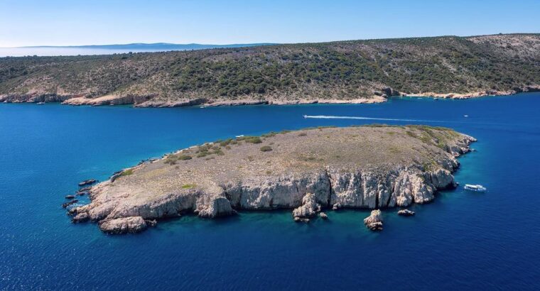 Otok Plavnik