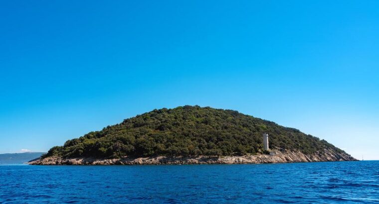 Otok Plavnik